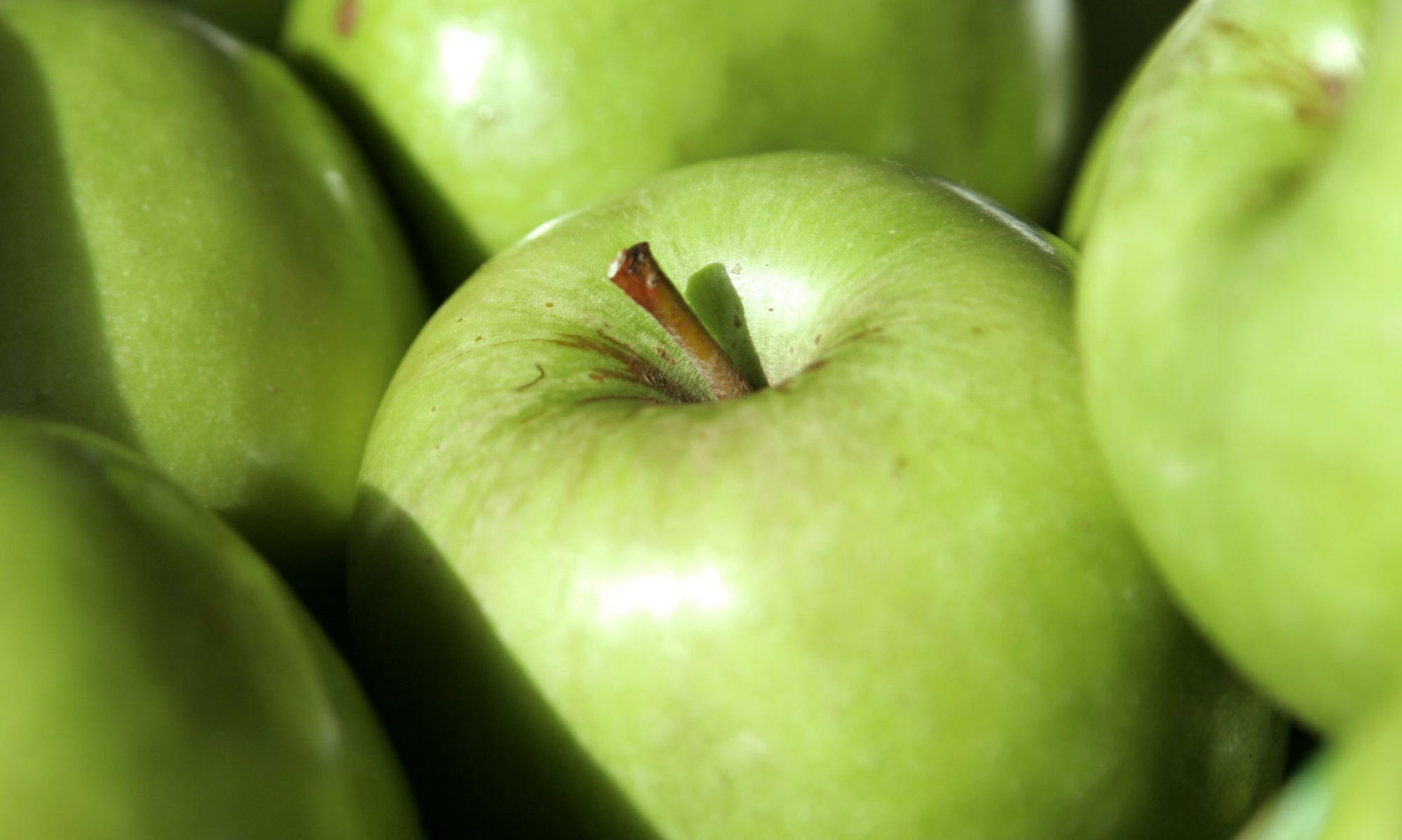 Poljoprivredno Gazdnistvo Bogosavljević